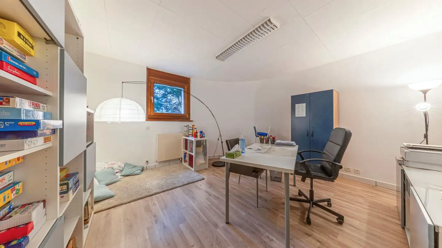 Immeuble mixte à vendre - Avenue Du Petit-Lancy, 1213 Petit-Lancy - Photo 3