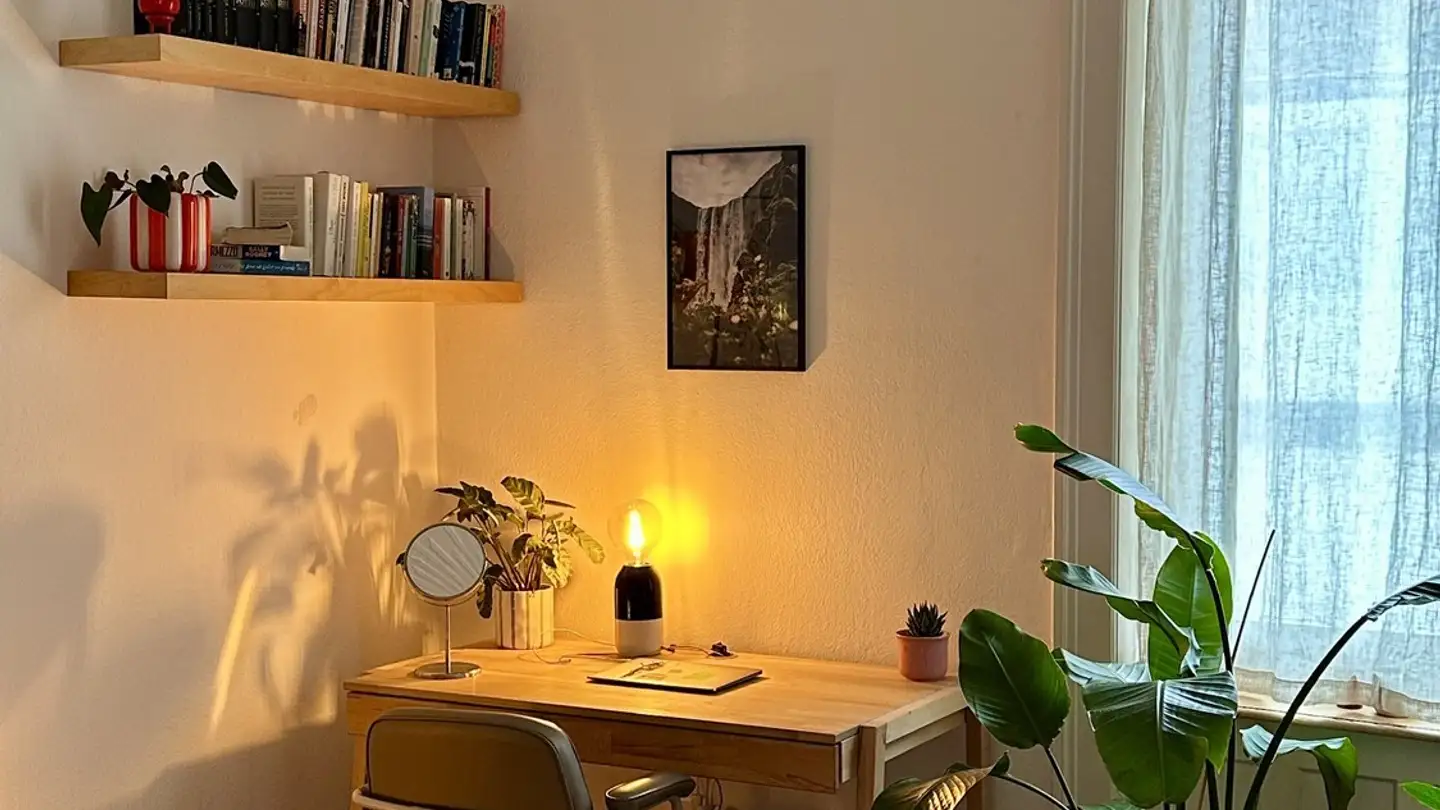 Stanza singola in affitto - 8006 Zürich