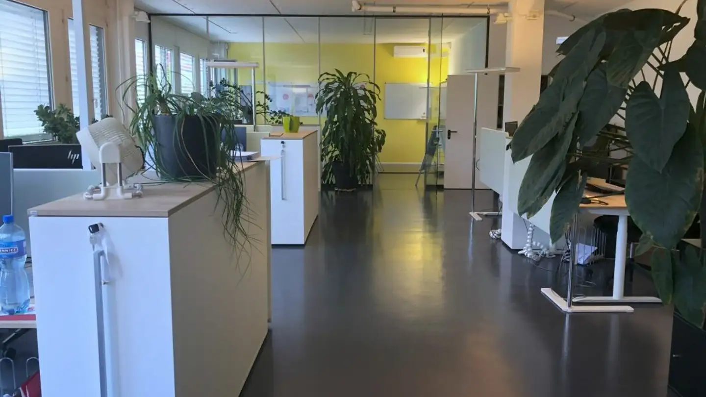 Office space for rent - Hinterbergstrasse 26, 6312 Steinhausen - Photo 3