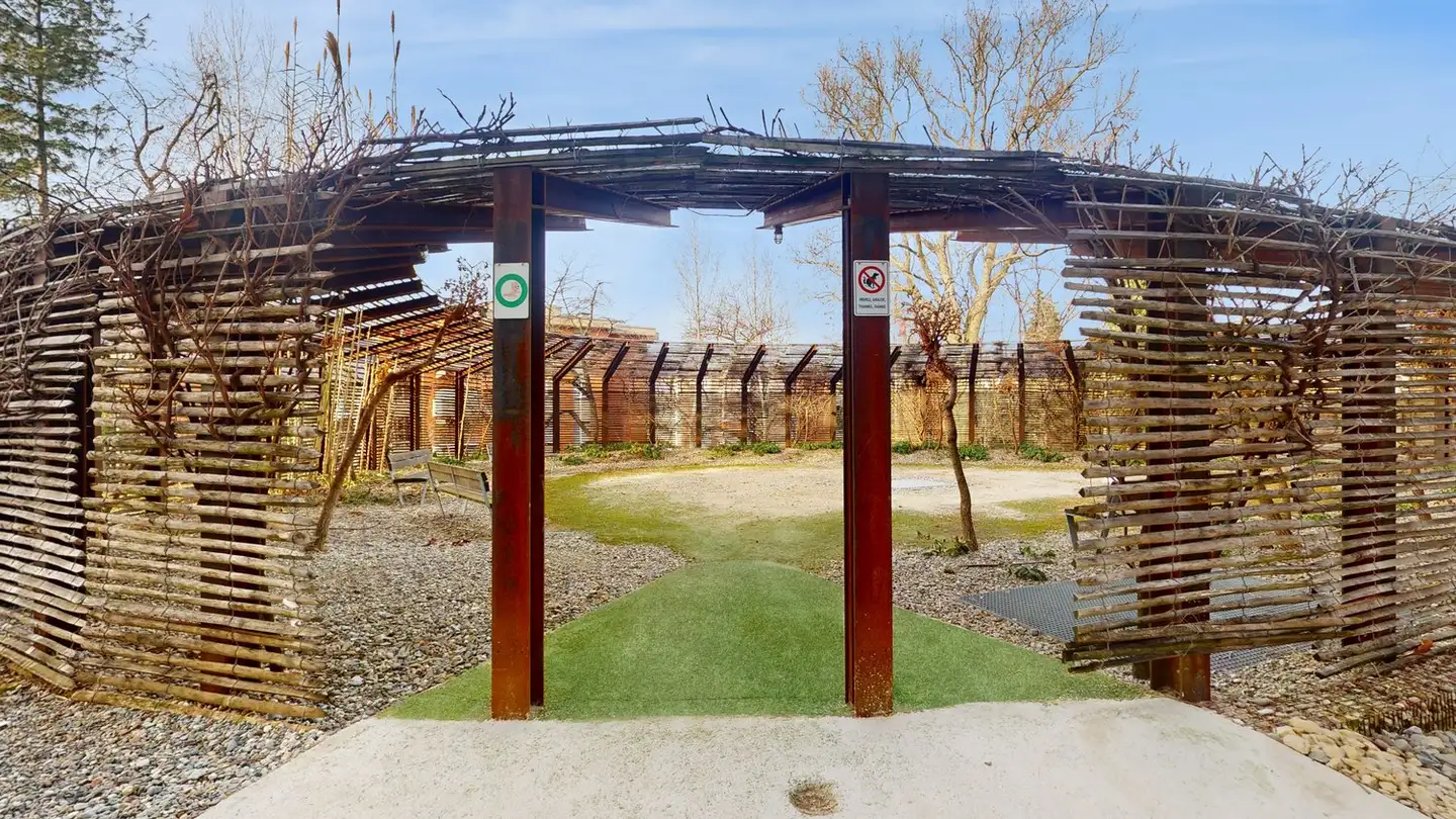 Apartment for rent - Via Giuseppe Lepori 14, 6900 Massagno - Photo 4