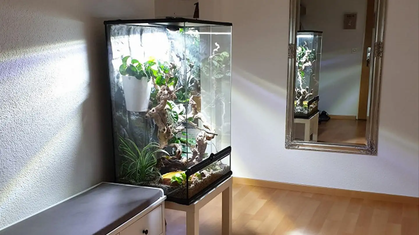 Attico in affitto - Kirchgasse 14, 9470 Buchs SG - Photo 4