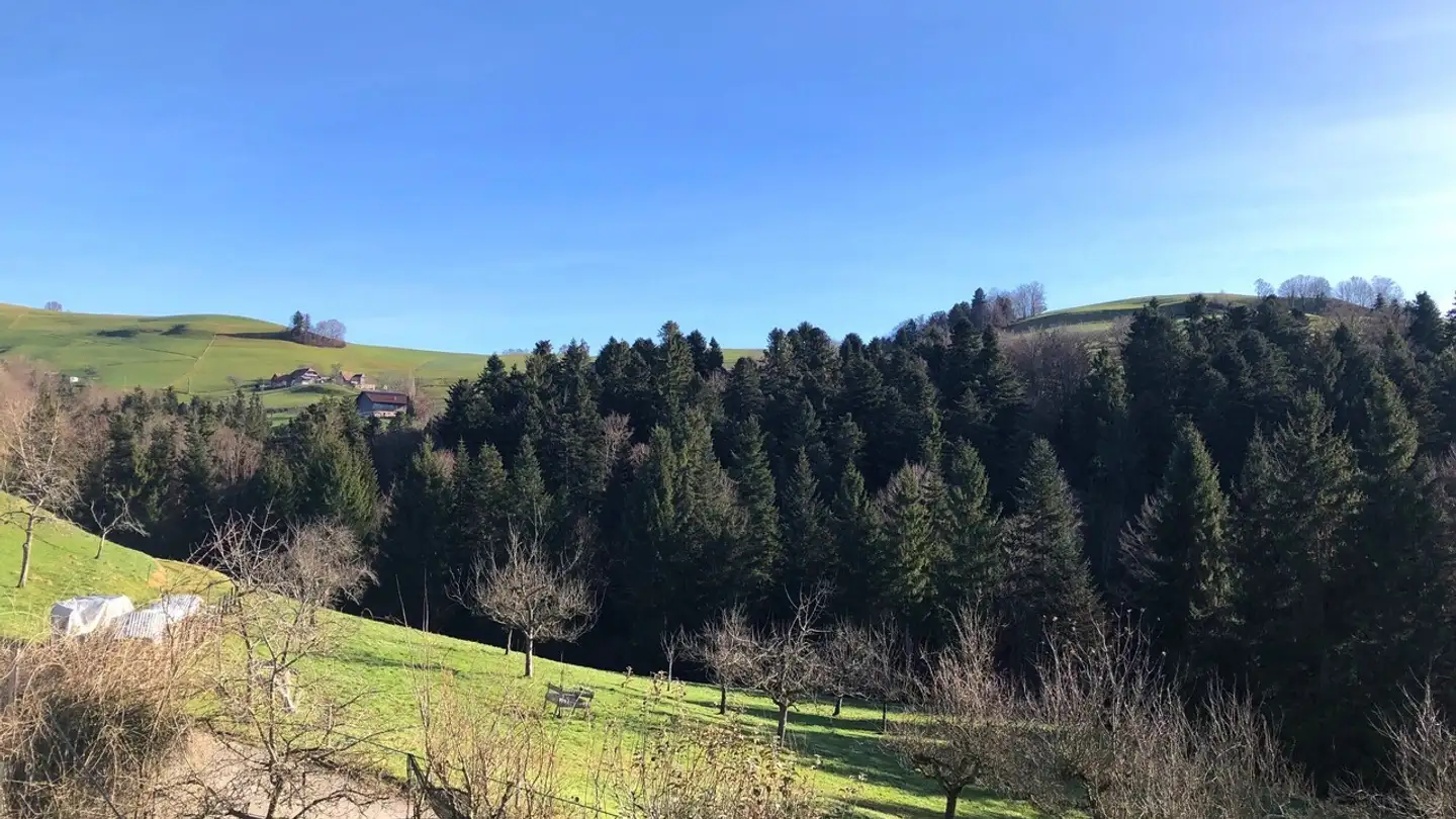 Appartement à louer - Heupelweg, 3088 Rüeggisberg