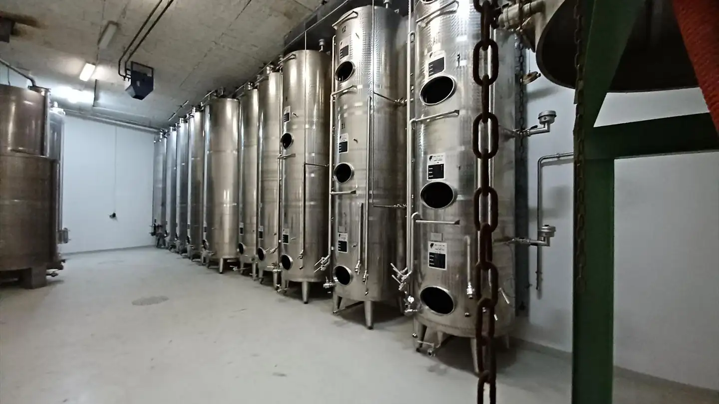 Proprietà industriale in vendita - 3970 Salgesch - Foto 4