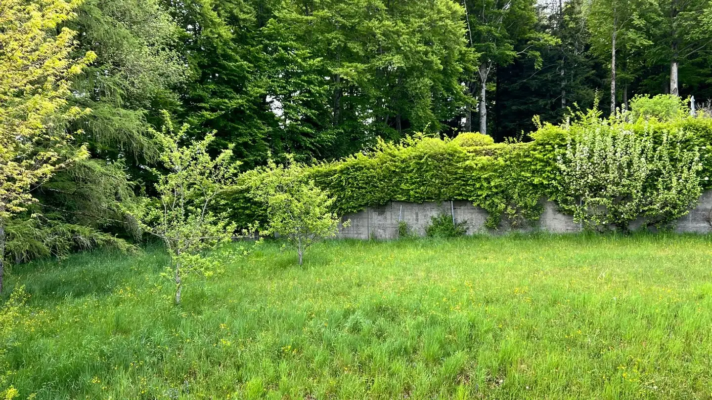 Appartamento in affitto - Le Cerisier 4, 2300 La Chaux-de-Fonds - Foto 3