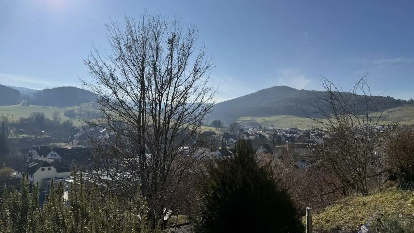 Edificio residenziale in vendita - Steinenbühl 52, 4417 Ziefen - Foto 4