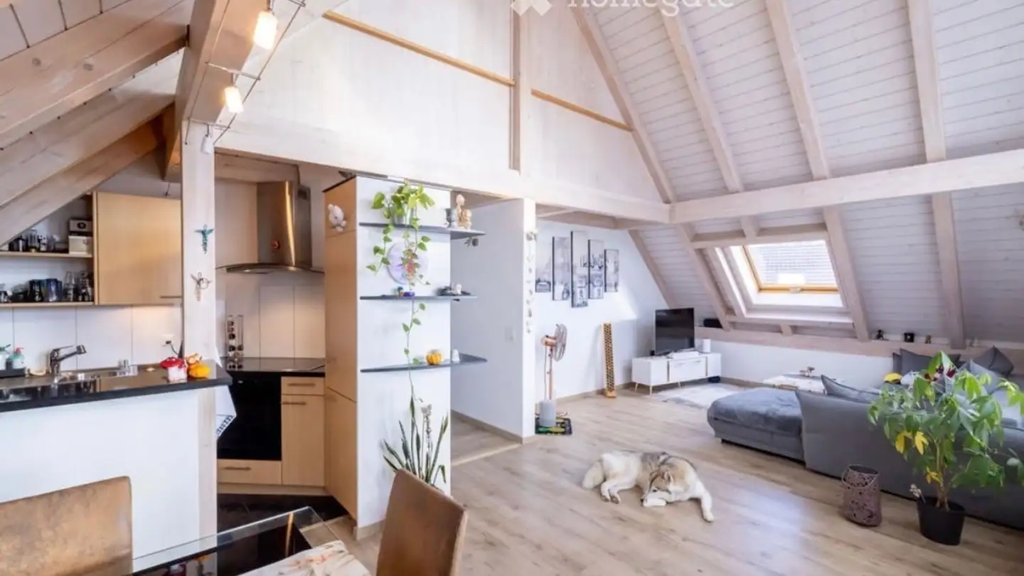 Wohnung mieten - Schulhausstrasse 12, 4513 Langendorf