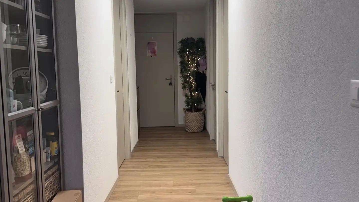 Appartamento in affitto - 8064 Zürich