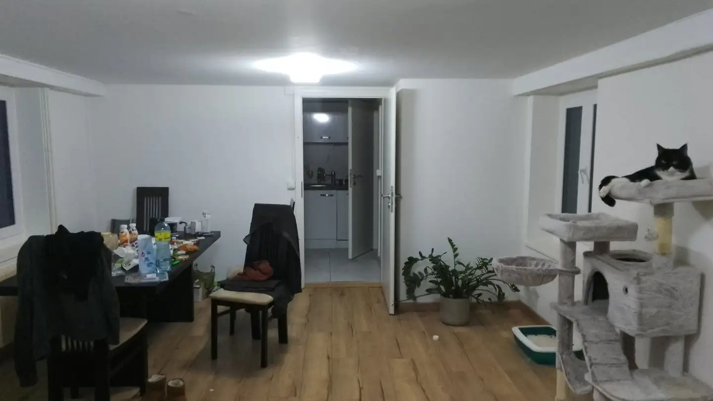 Appartement à louer - Chemin De La Grande Fin 3, 1337 Vallorbe