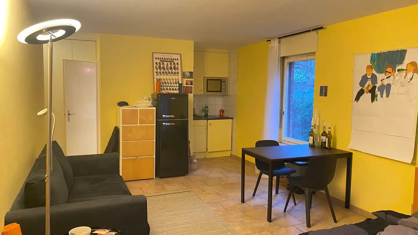 Appartamento in affitto - Seefeldstrasse 255, 8008 Zürich