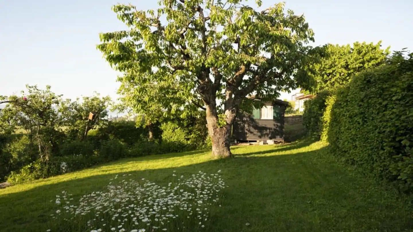 Single house for rent - L'arzillier 25, 1473 Châtillon FR - Photo 4