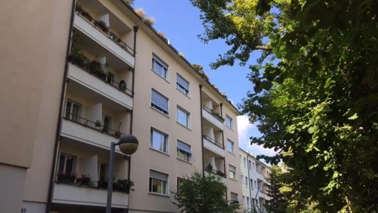 Appartamento in affitto - Neubadrain 18, 4102 Binningen