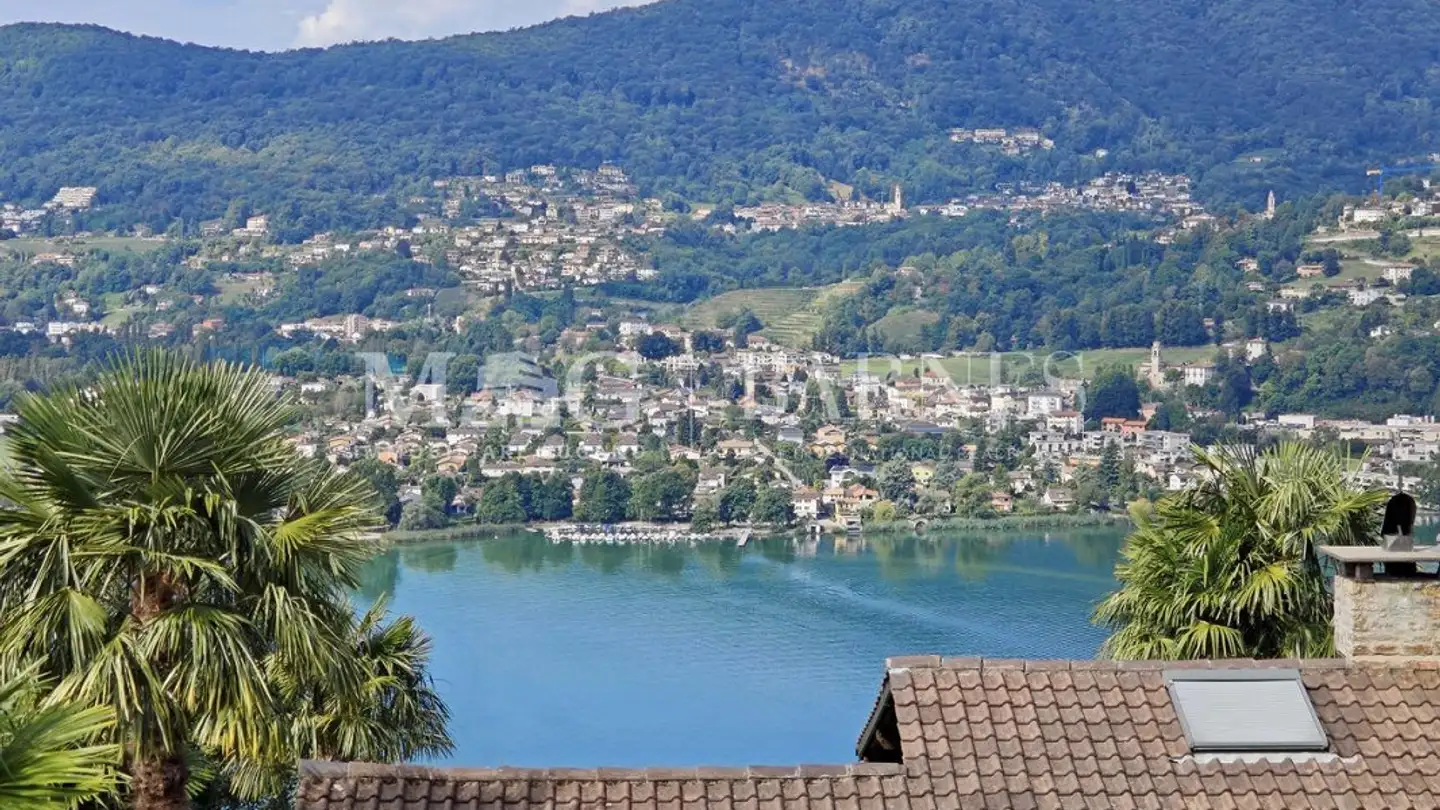 Villa à vendre - 6926 Montagnola - Photo 3