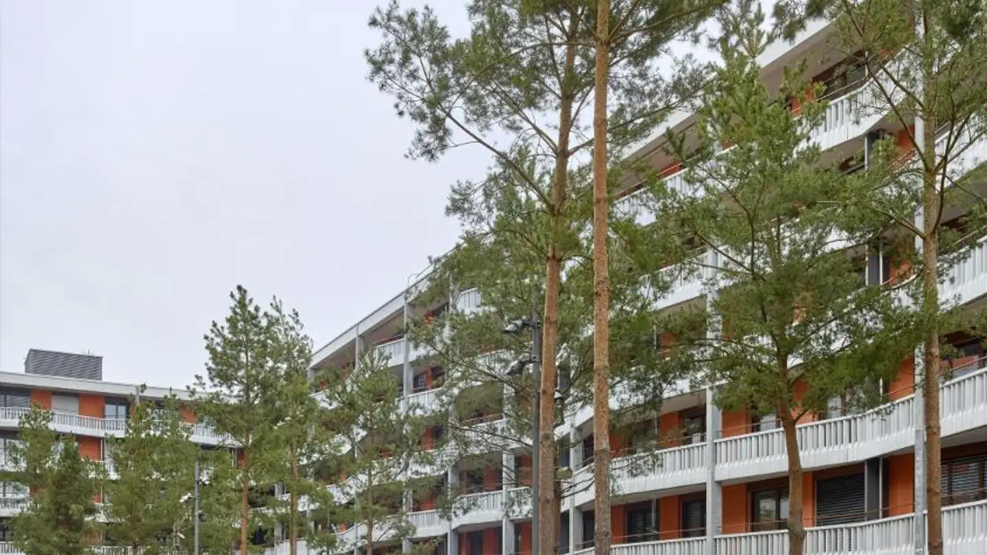 Appartement à louer - Giessenstrasse 3, 8600 Dübendorf