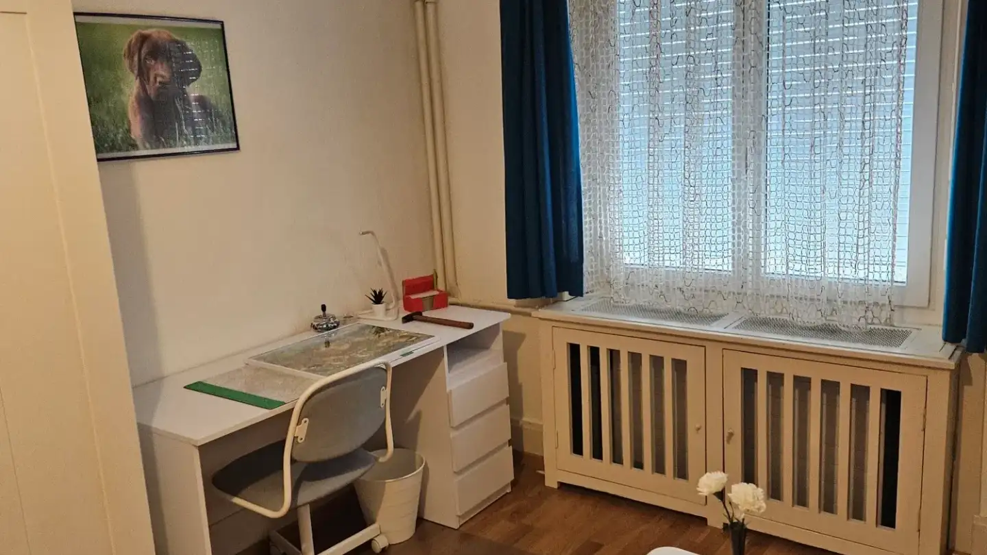 Single room for rent - Rehetobelstrasse, 9000 St. Gallen - Photo 4