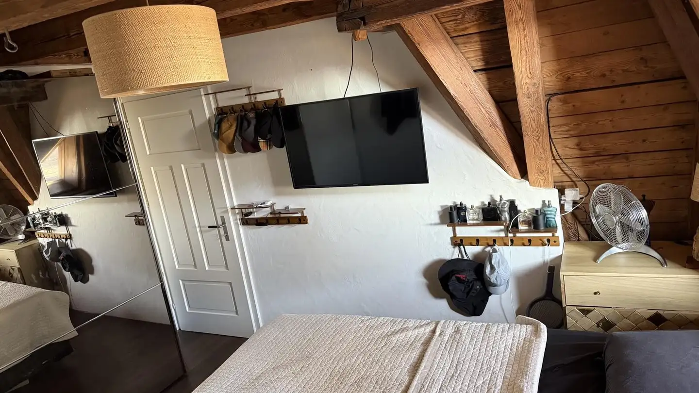 Chambre à louer - Gubelstrasse 54, 8050 Zürich - Photo 3