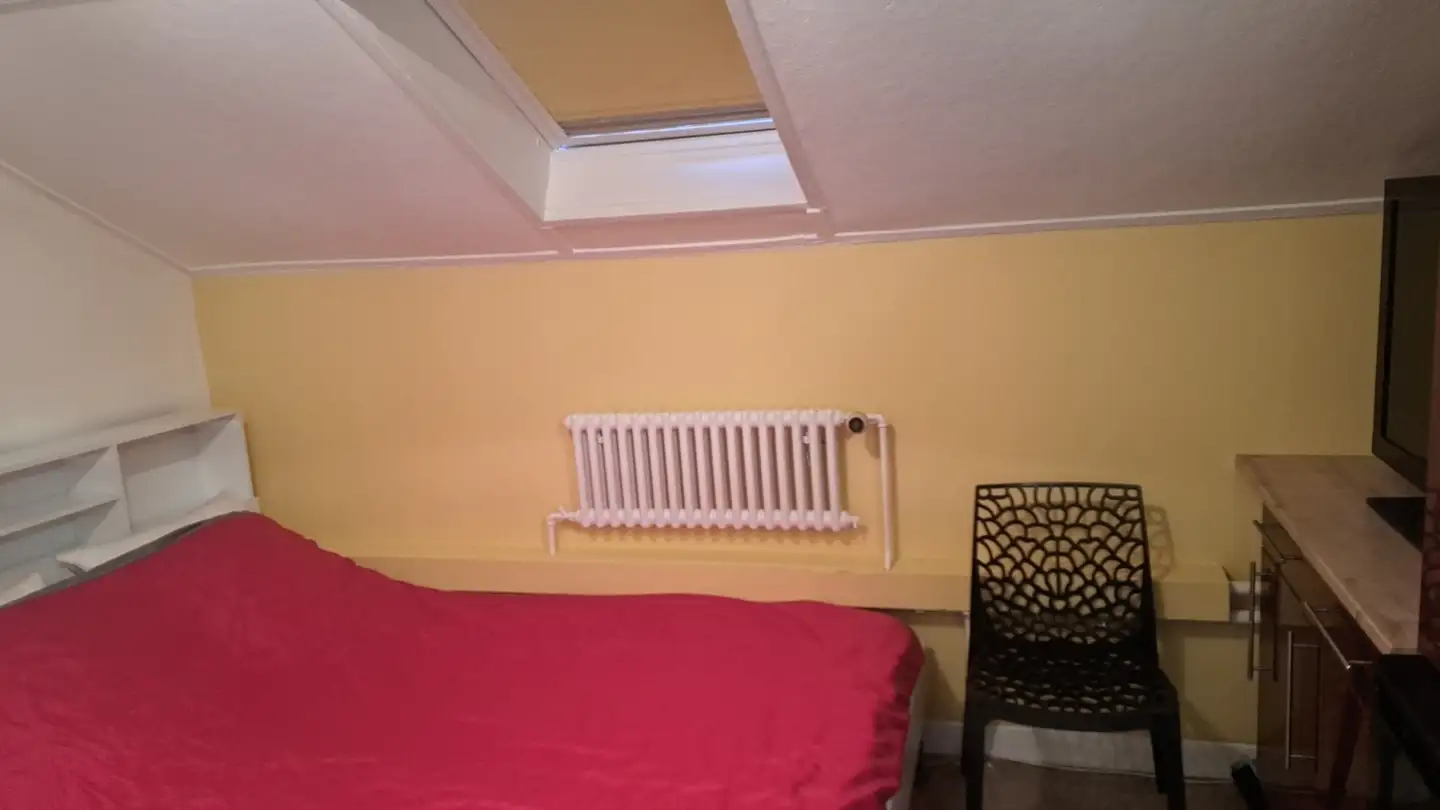 Single room for rent - Rue Jean- Dassier 10, 1201 Genève - Photo 2