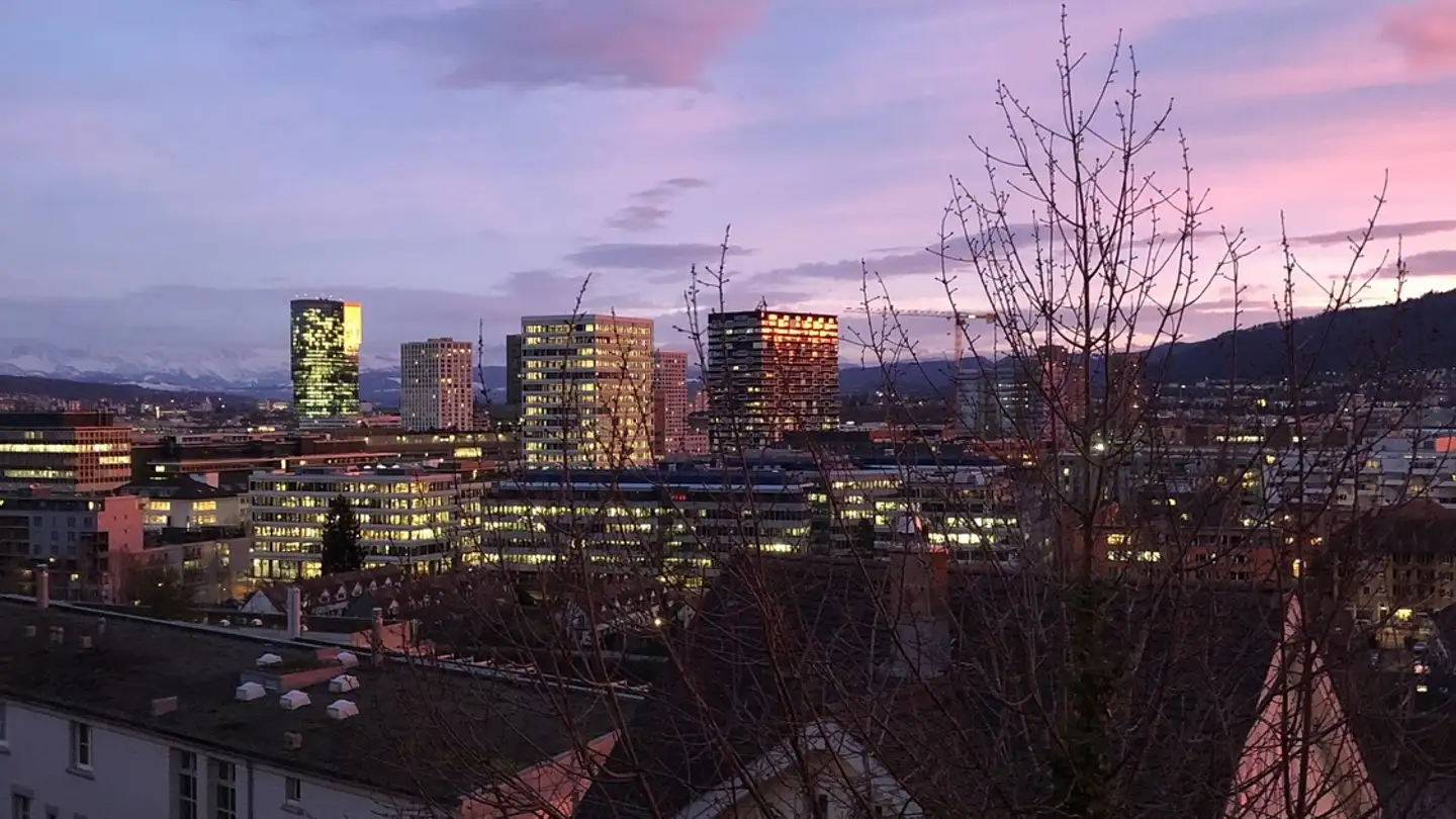 Appartement à louer - Ackersteinstrasse 85, 8049 Zürich - Photo 2