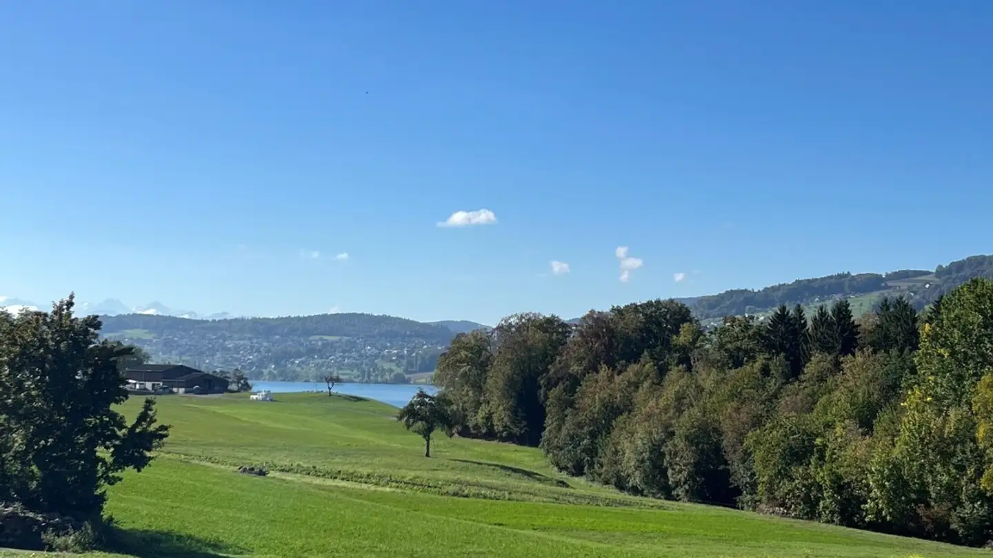 Appartement à vendre - Hasen 5, 5617 Tennwil