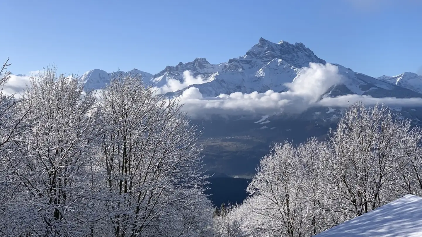 Wohnung kaufen - 1885 Chesières - Foto 2