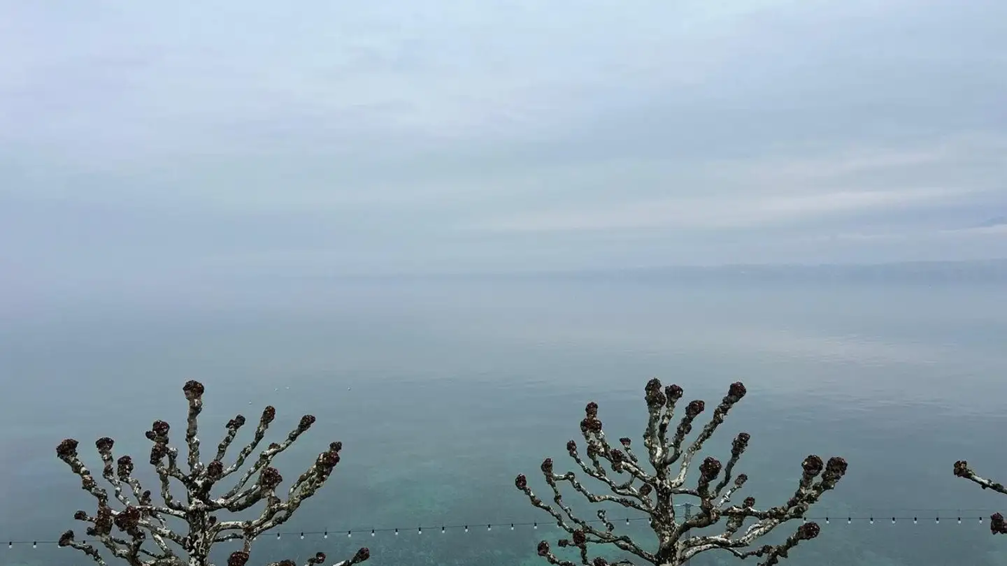 Appartement à louer - Quai De Versoix 11, 1290 Versoix - Photo 2