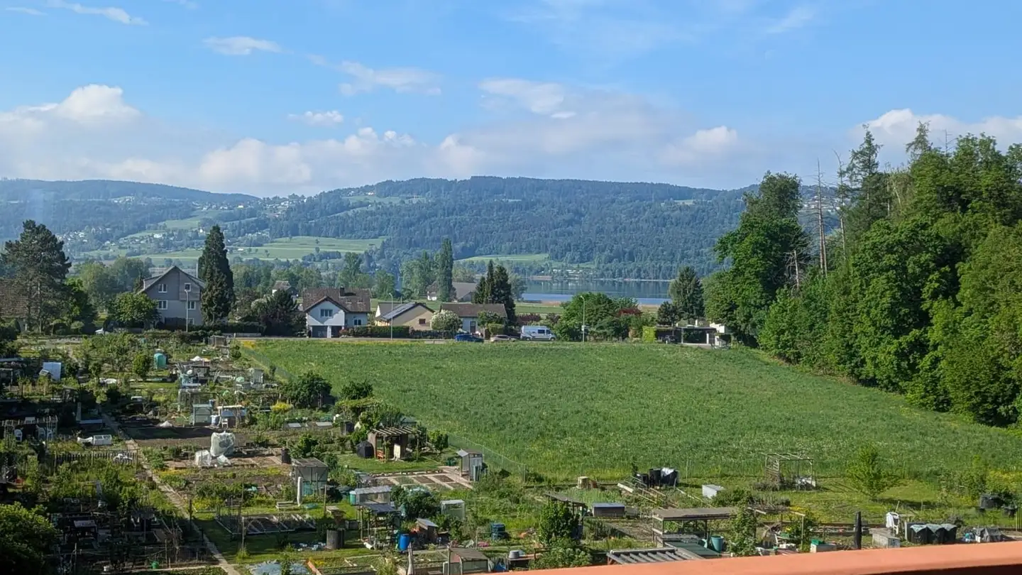 Zimmer mieten - Burstwiesenstrasse 65, 8606 Greifensee - Foto 3