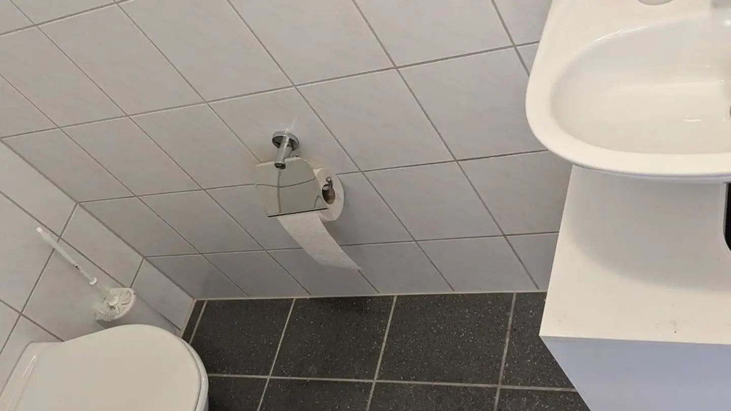 Gewerbe mieten - Bahnhofstrasse 4, 6048 Horw - Foto 4