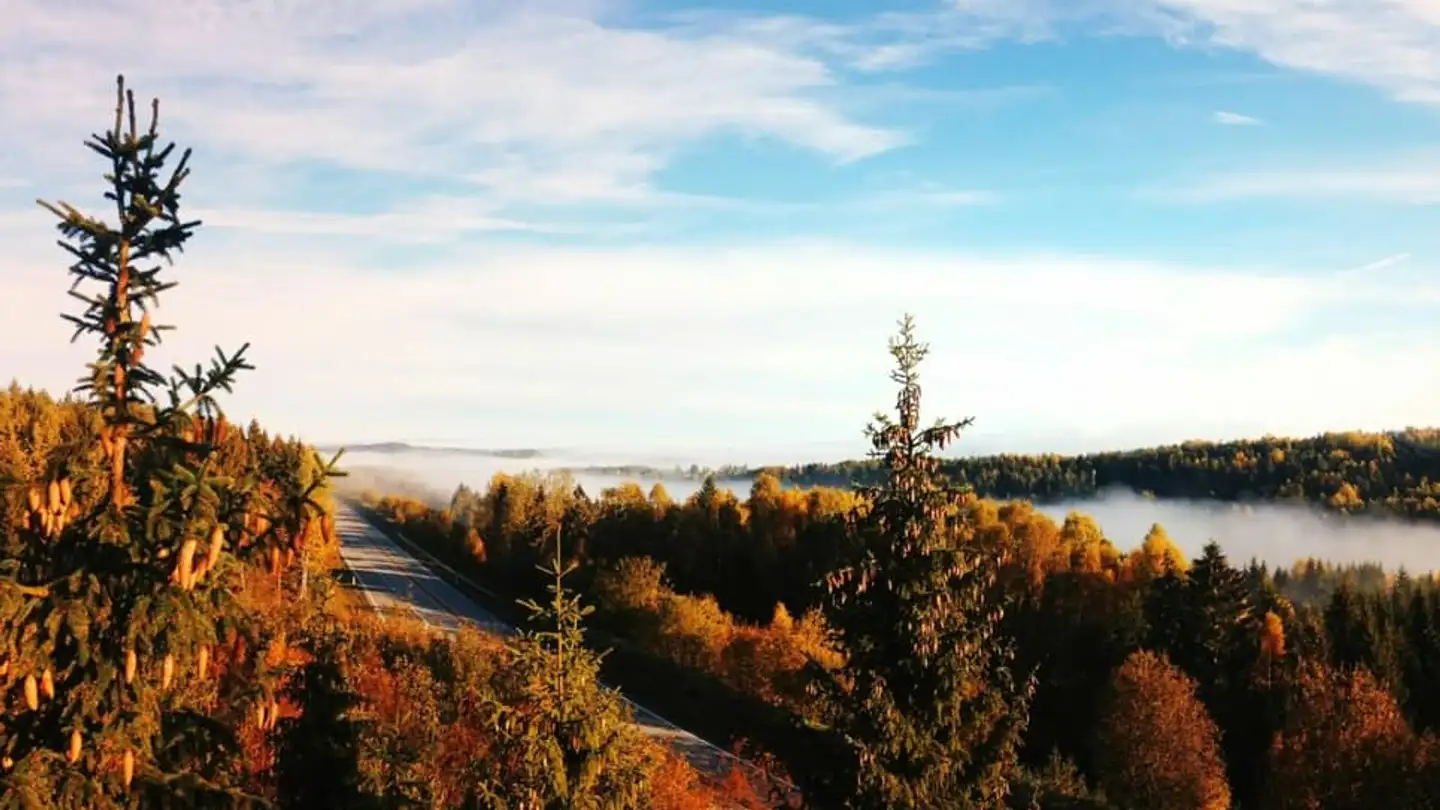 Apartment for rent - 1255 Veyrier