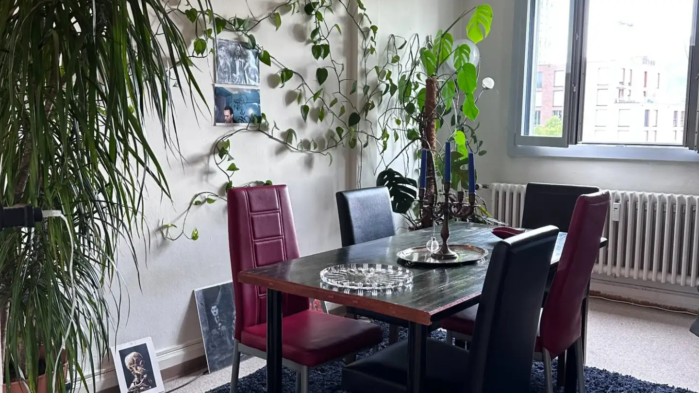 Stanza singola in affitto - Hohlstrasse 451, 8048 Zürich