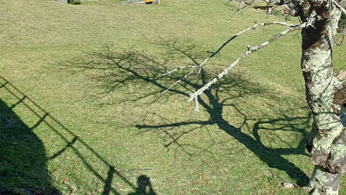 Terreno edificabile in vendita - 6562 Soazza - Photo 3