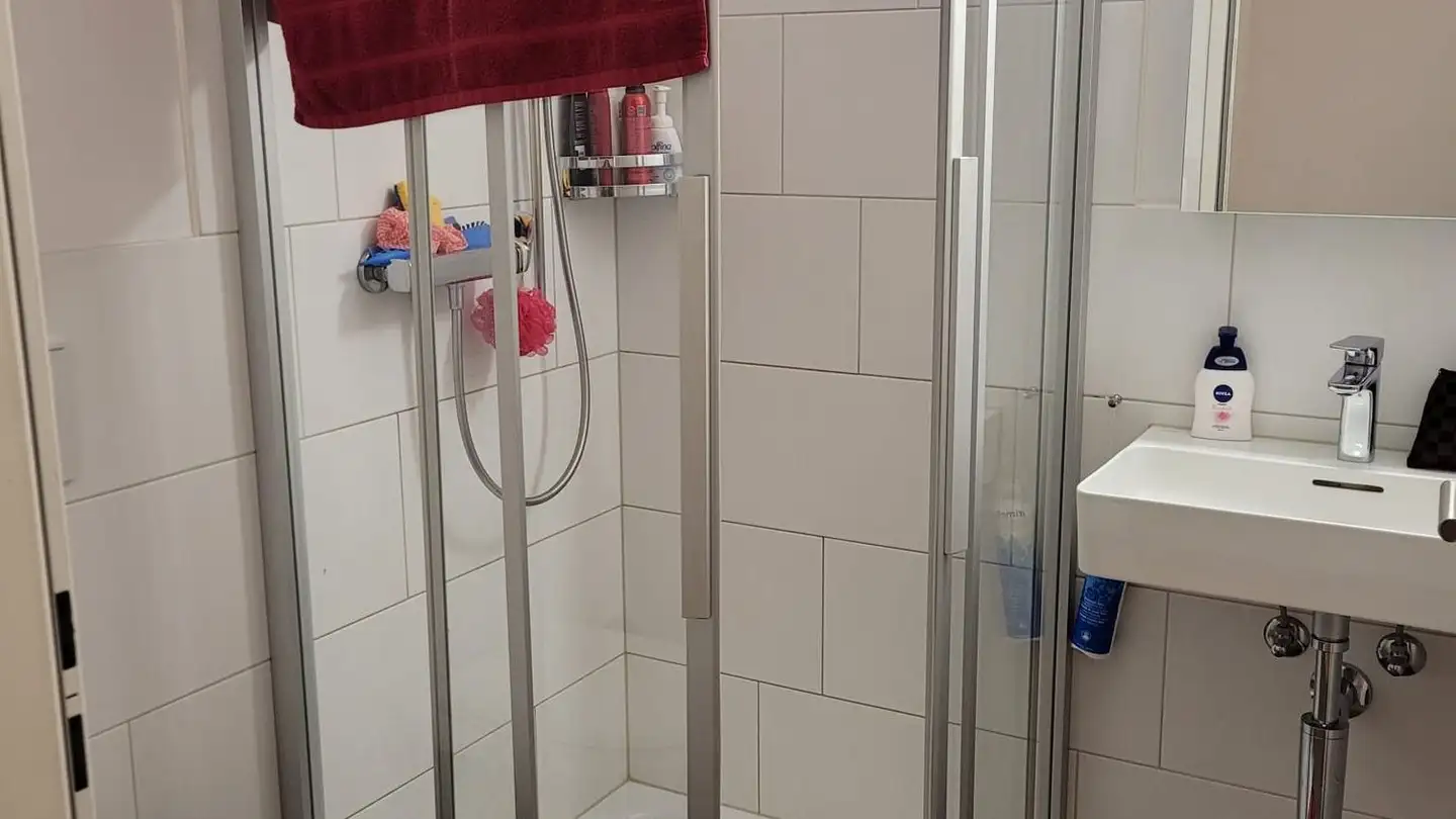 Apartment for rent - Marktgasse 27, 5620 Bremgarten AG - Photo 4