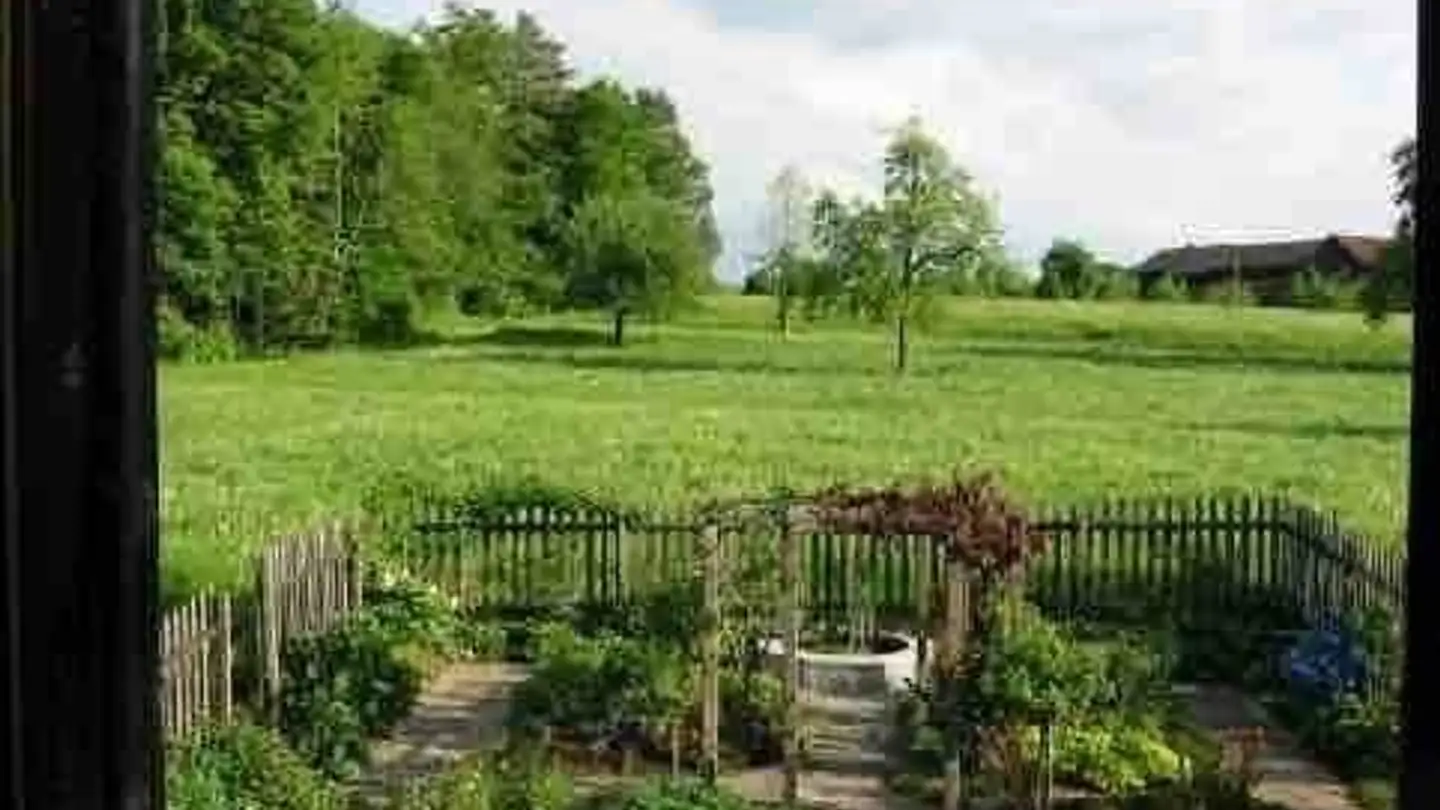 Wohnung mieten - Summeraustrasse 13, 8618 Oetwil am See - Foto 4