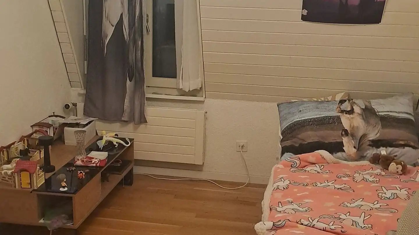 Appartamento in affitto - Oberzelgstrasse 1, 9315 Neukirch (Egnach) - Foto 4