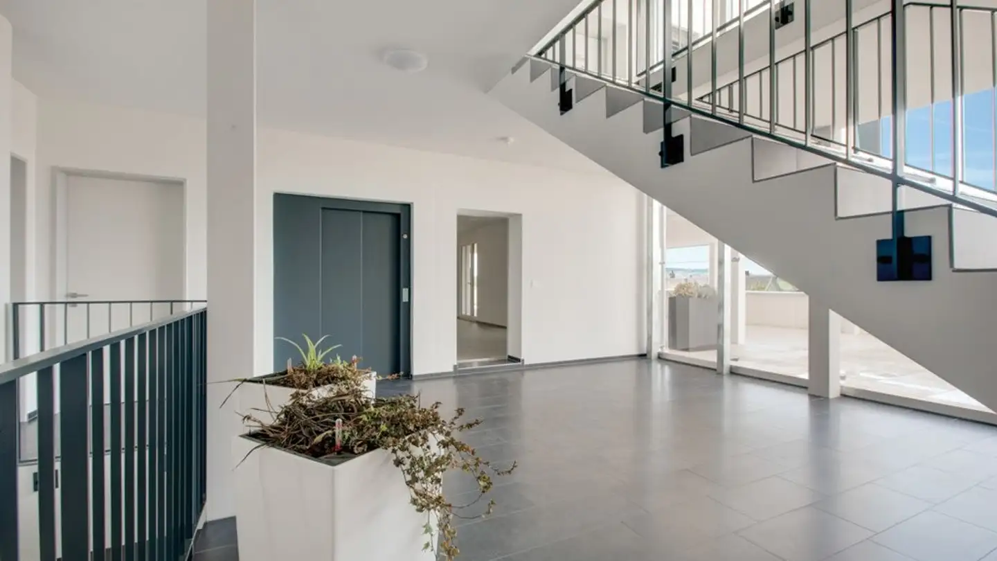 Commerciale in affitto - Höhenrainstrasse 3a, 8586 Riedt b. Erlen - Foto 3