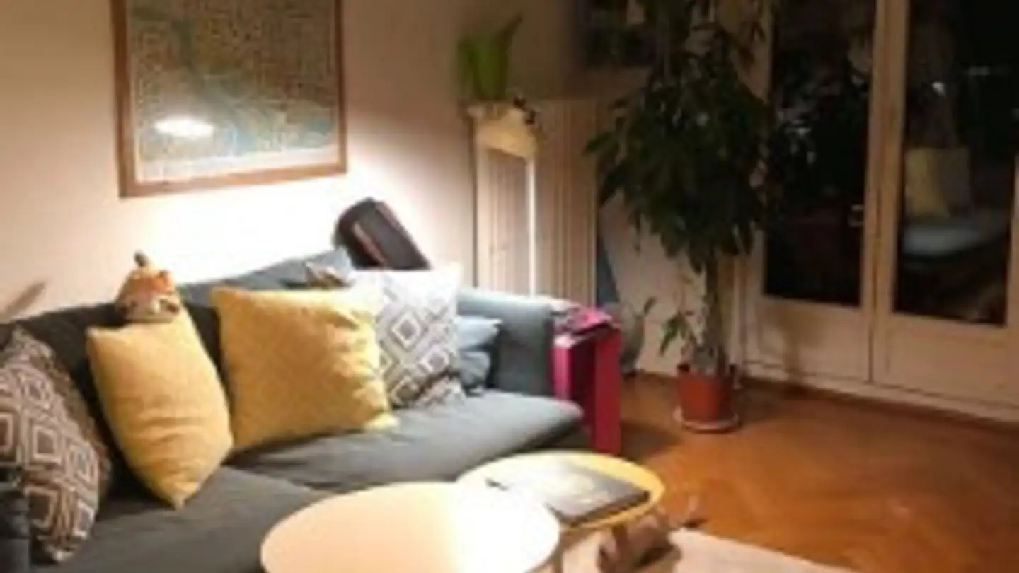 Wohnung mieten - 1202 Genève