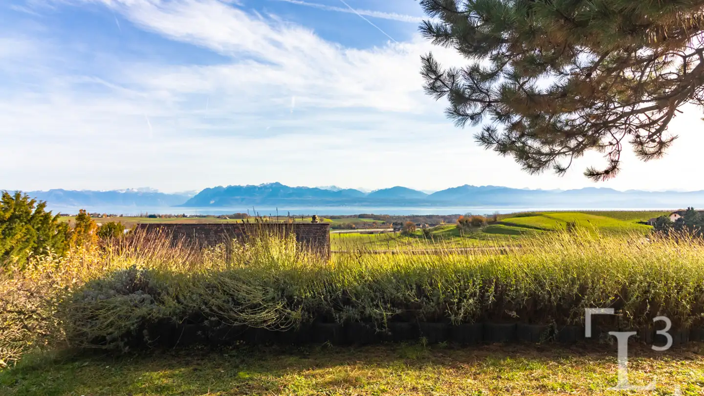 Single house for sale - 1110 Morges