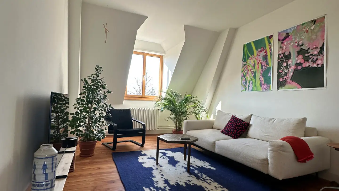 Möblierte Wohnung mieten - 4055 Basel