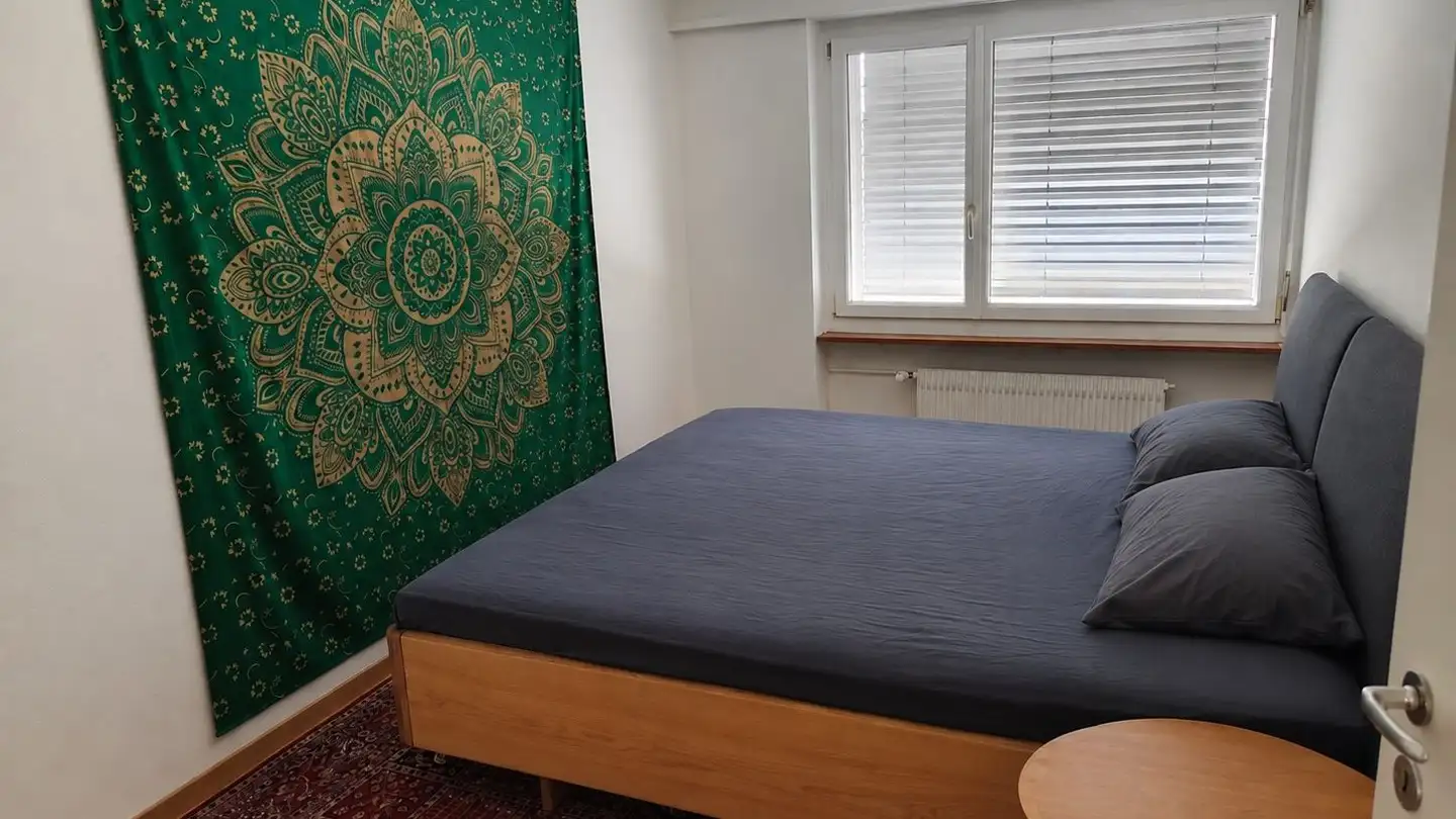 Apartment for rent - Gartenstrasse 43, 8102 Oberengstringen - Photo 4
