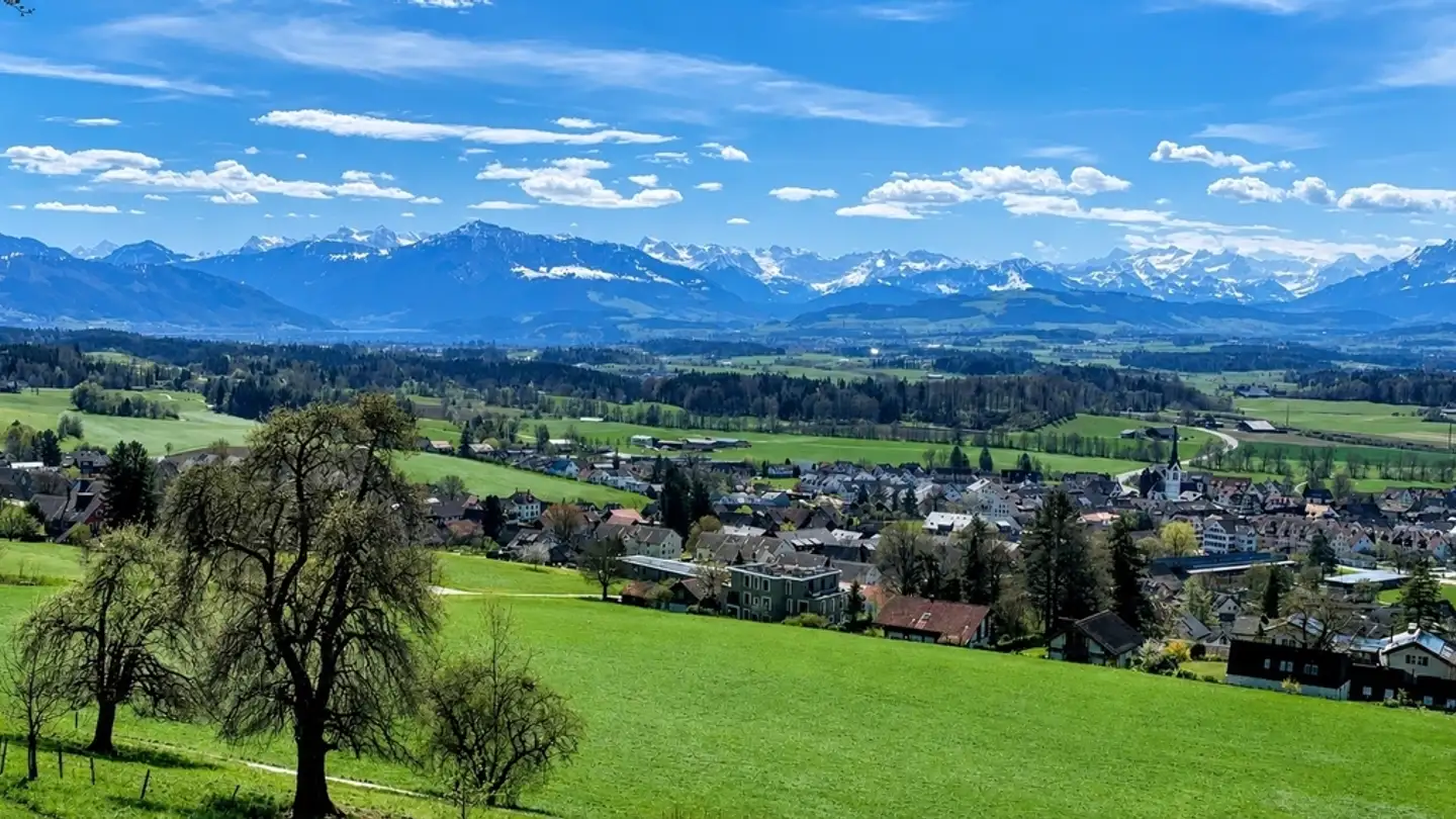 Wohnung mieten - 8932 Mettmenstetten