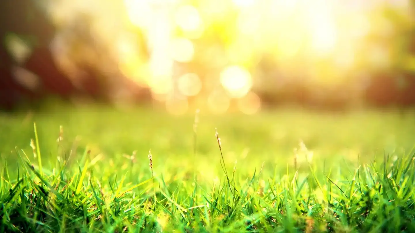 Terrain constructible à vendre - 1875 Morgins