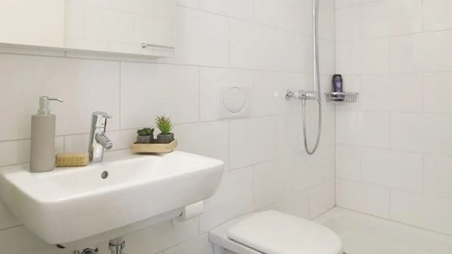 Appartamento in affitto - Langhagstrasse 20, 4600 Olten - Photo 3