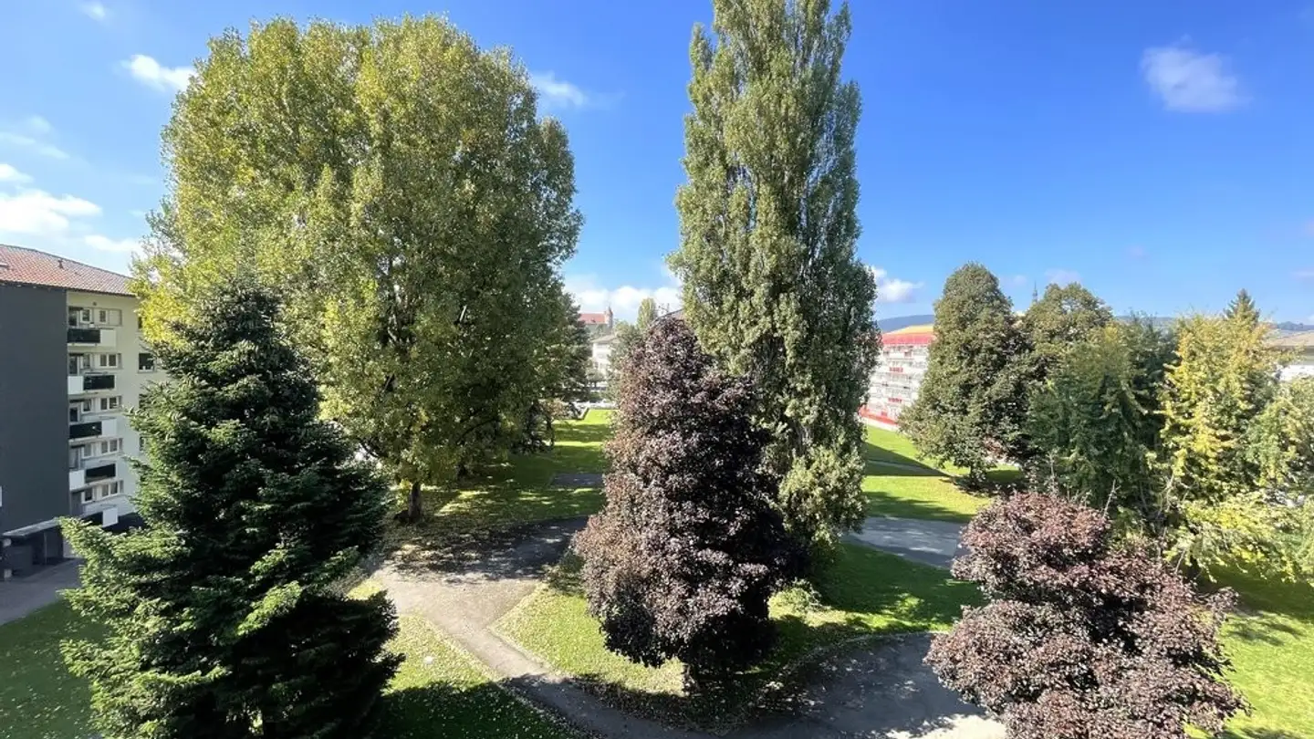 Appartamento in affitto - Rue De La Berra 19, 1630 Bulle - Photo 2