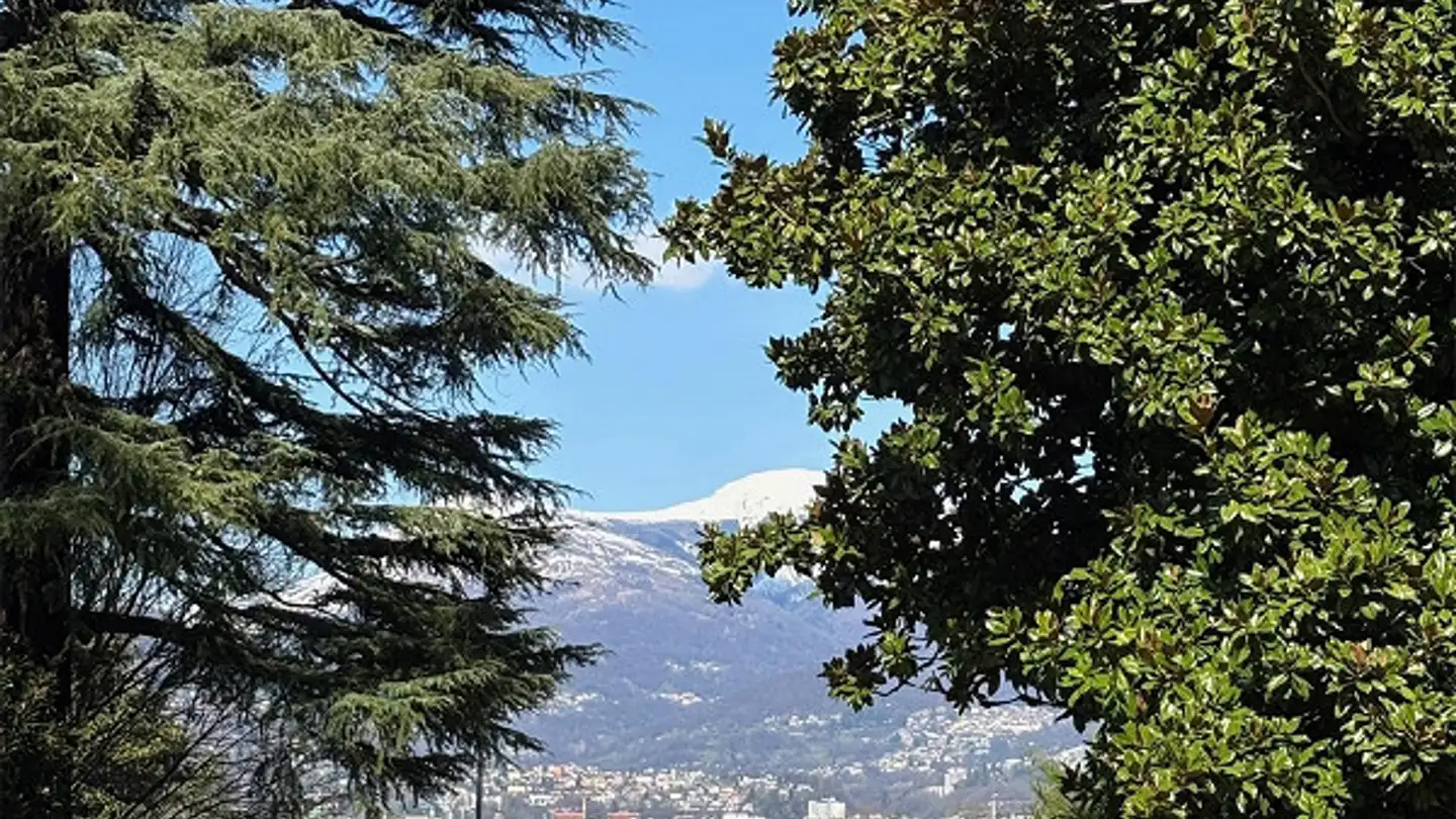 Wohnung kaufen - 6900 Paradiso - Foto 2