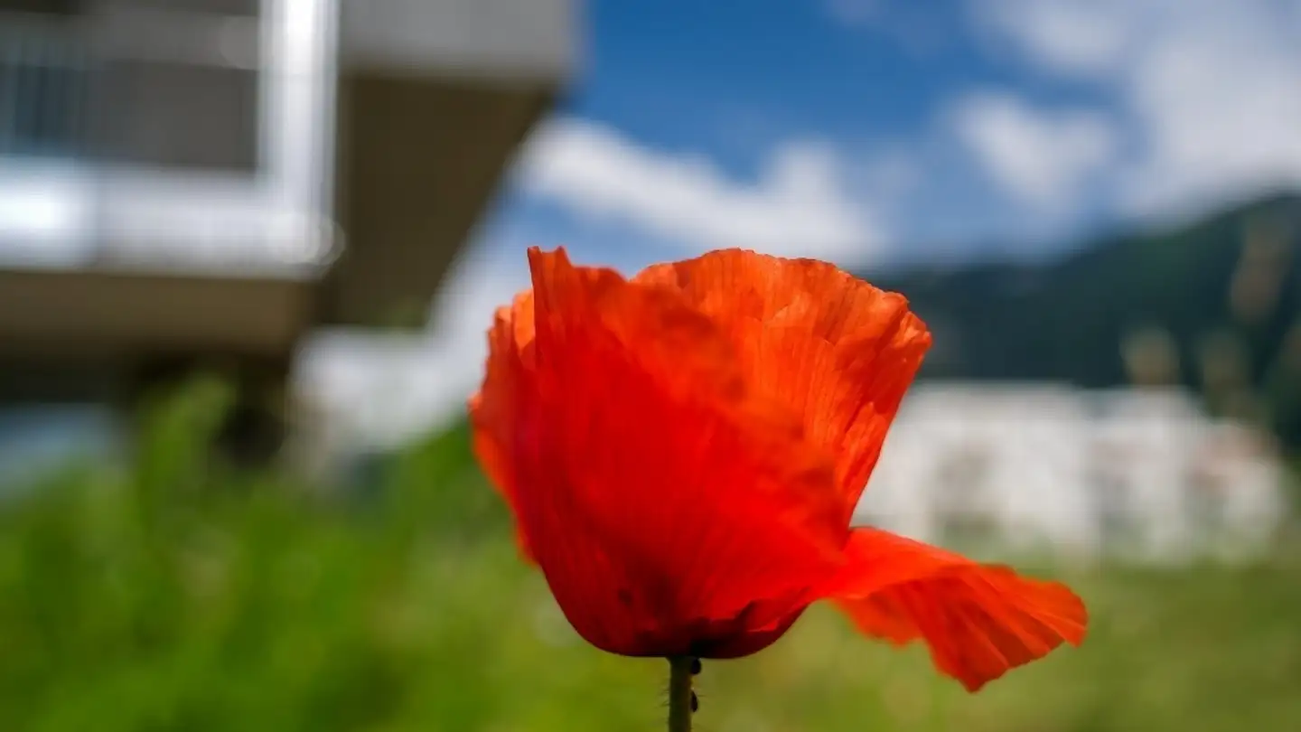 Appartamento in affitto - Chemin De Perruet 12, 1880 Bex - Foto 3