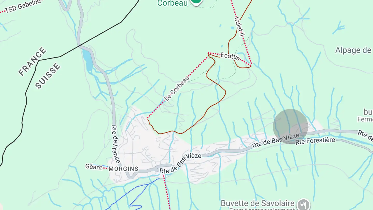 Chalet for sale - 1875 Morgins - Photo 2