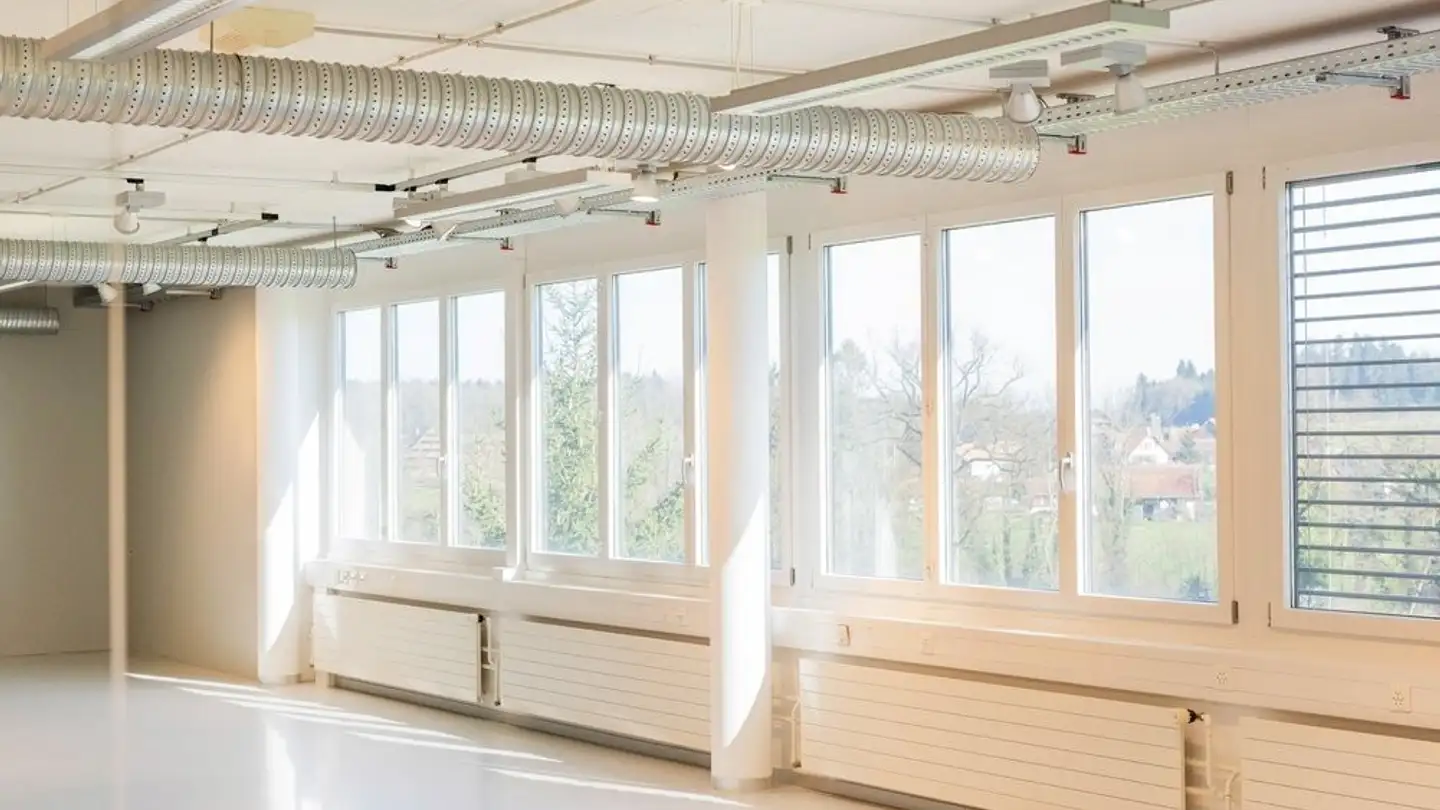 Bureau à louer - Brunnmatt 20, 6330 Cham