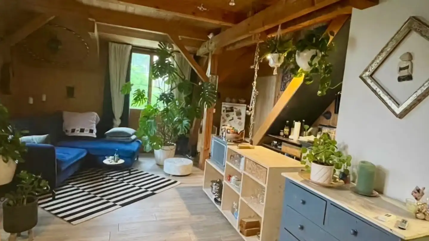 Apartment for rent - 8340 Hinwil