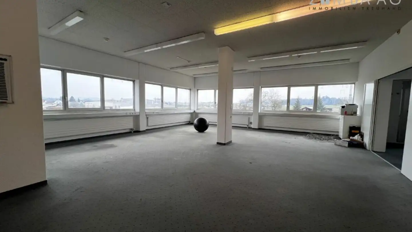 Grand magasin à louer - Fabrikstrasse 1, 8586 Erlen