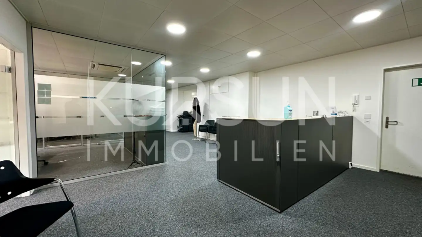 Office space for rent - Streitgasse 20, 4051 Basel