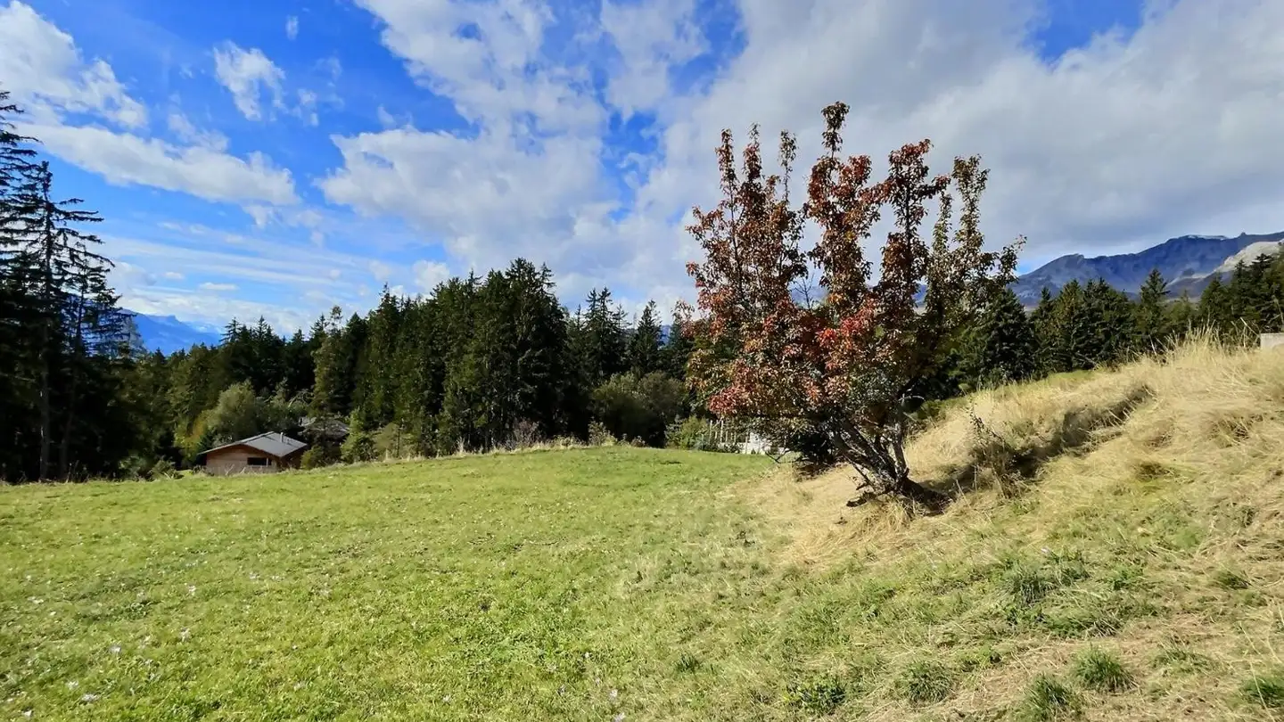 Bauland kaufen - Route De Crans-Montana, 3963 Montana - Foto 4