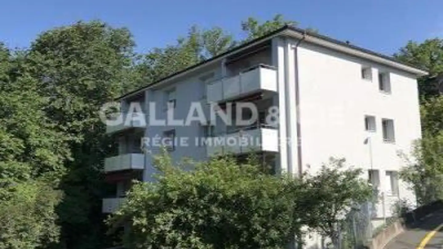 Appartamento in affitto - Chemin De Champ-Rond, 1010 Lausanne